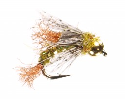 Caddis Nymphs